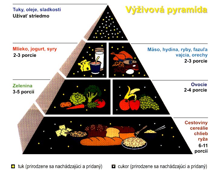 výživová pyramída